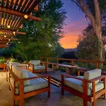 Hollywood Hills Midcentury Treehouse